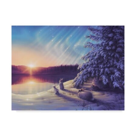 Trademark Fine Art Kirk Reinert 'Hello Sunshine' Canvas Art, 24x32 ALI30842-C2432GG